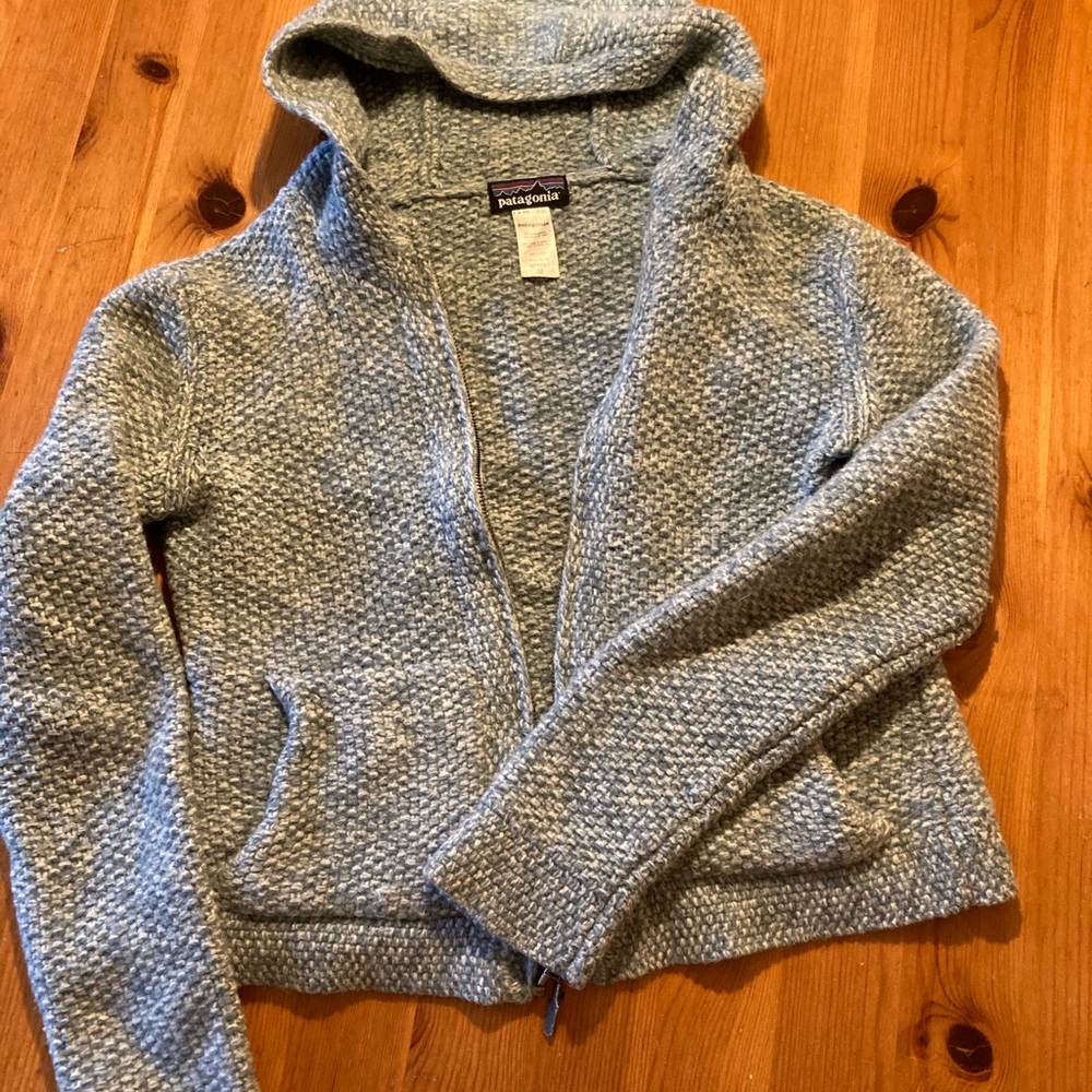 Patagonia Wool Zip Up Hoodie